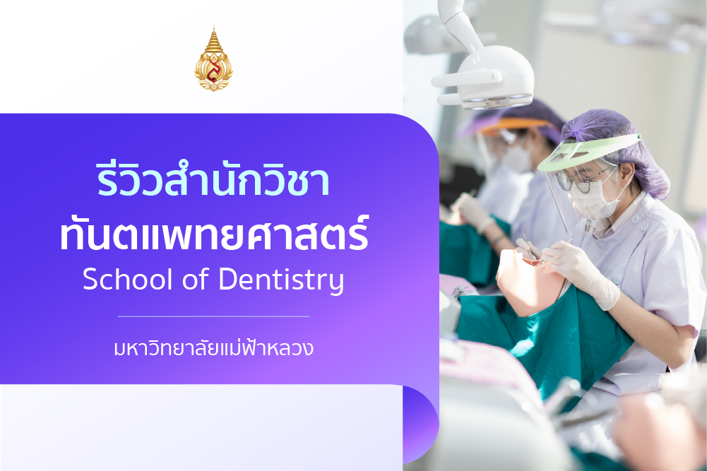 รีวิวหลักสูตร : สำนักวิชาทันตแพทยศาสตร์